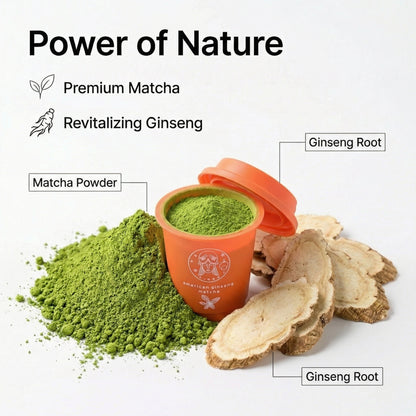 Ginseng Matcha Tea  24 Pods