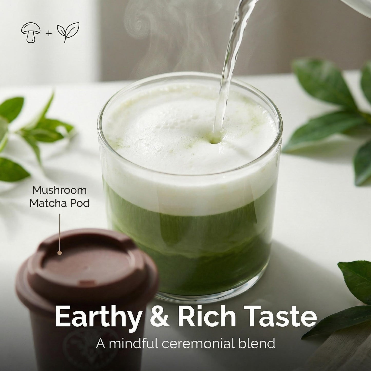 Mushroom Matcha Tea 24 Pods